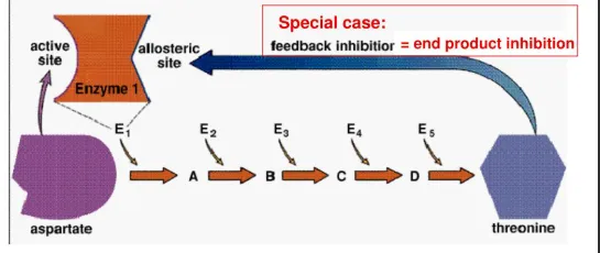 Feedback inhibition pathway